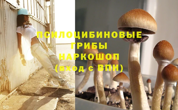 соль ск Абдулино